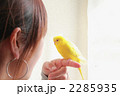 ペットのいる暮らし