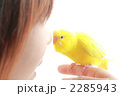 ペットのいる暮らし