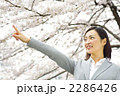 桜と女性