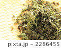 初摘み海苔