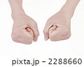 2288660