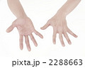 2288663