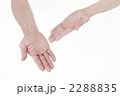 2288835