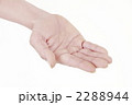 2288944