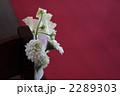 バージンロードと花