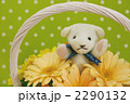 テディベアと花束ギフト