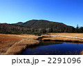 神仙沼湿原