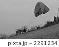 2291234