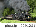 山口線　重連　C57　C56　津和野