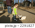 うさぎとふれあう子供