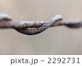 2292731