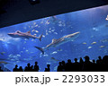 美ら海水族館