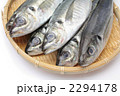 長崎産真鯵