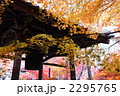 花の寺・秋