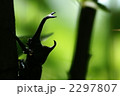 カブトムシのシルエット