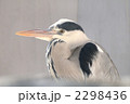 2298436