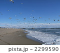 サンタモニカ海岸