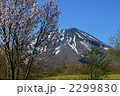 岩木山