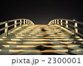錦帯橋（山口県岩国市　夜ライトアップ）