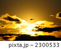 2300533