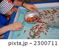 初めての金魚すくい