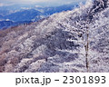 樹氷の紀伊山地