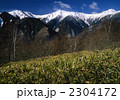 冬の白根三山