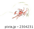 蟹1