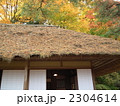 霞ガ城公園