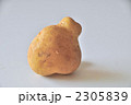 2305839