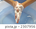 2307956