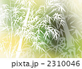 2310046
