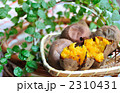 焼き芋（安納芋）