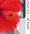 2312022