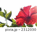 2312030