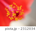 2312034