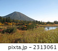 睡蓮沼と八甲田山