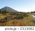 睡蓮沼から見た八甲田山