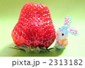 わ~っ! おいしそうないちご! 食べちゃおっ!!