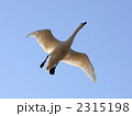 2315198