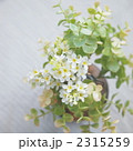 2315259