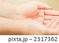 2317362