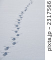 2317566
