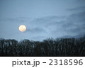 2318596