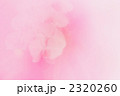 ファレノプシス 02