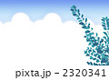 2320341