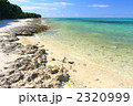 カイジ浜