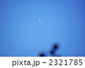 早朝の月