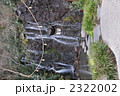 パワースポット玉簾の瀧