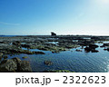 タイドプールと岩礁